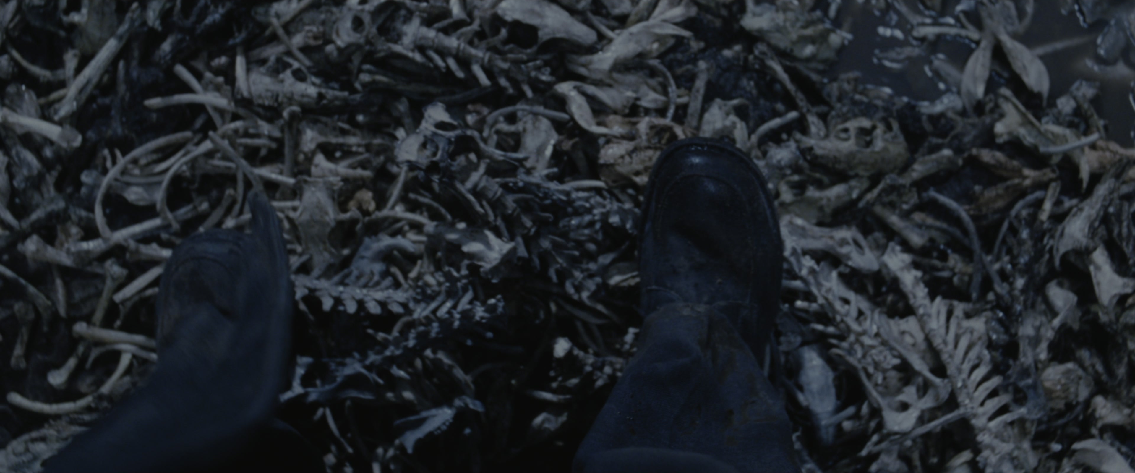 Harry Potter and the Chamber of Secrets (2002), wide, 2.40:1 — film still