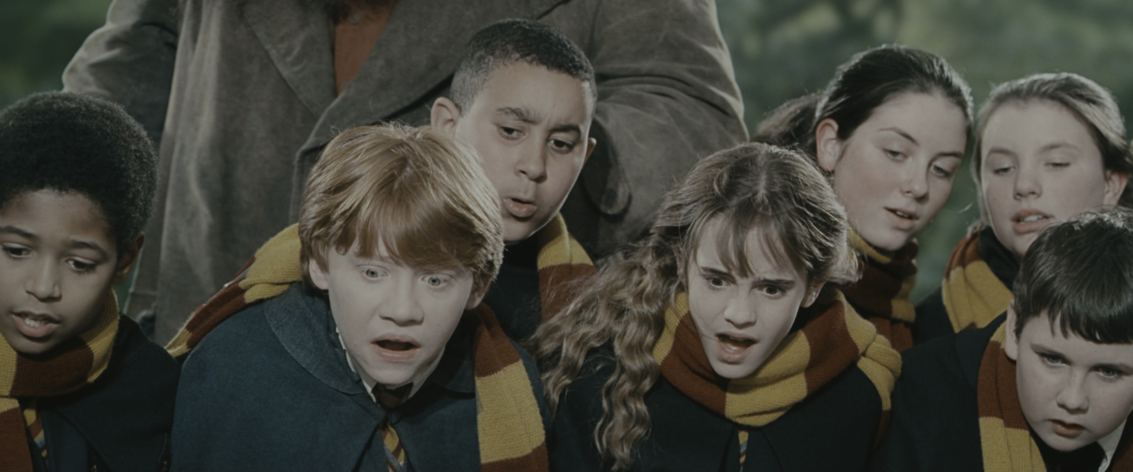 Harry Potter and the Chamber of Secrets (2002), medium, 2.40:1 — film still