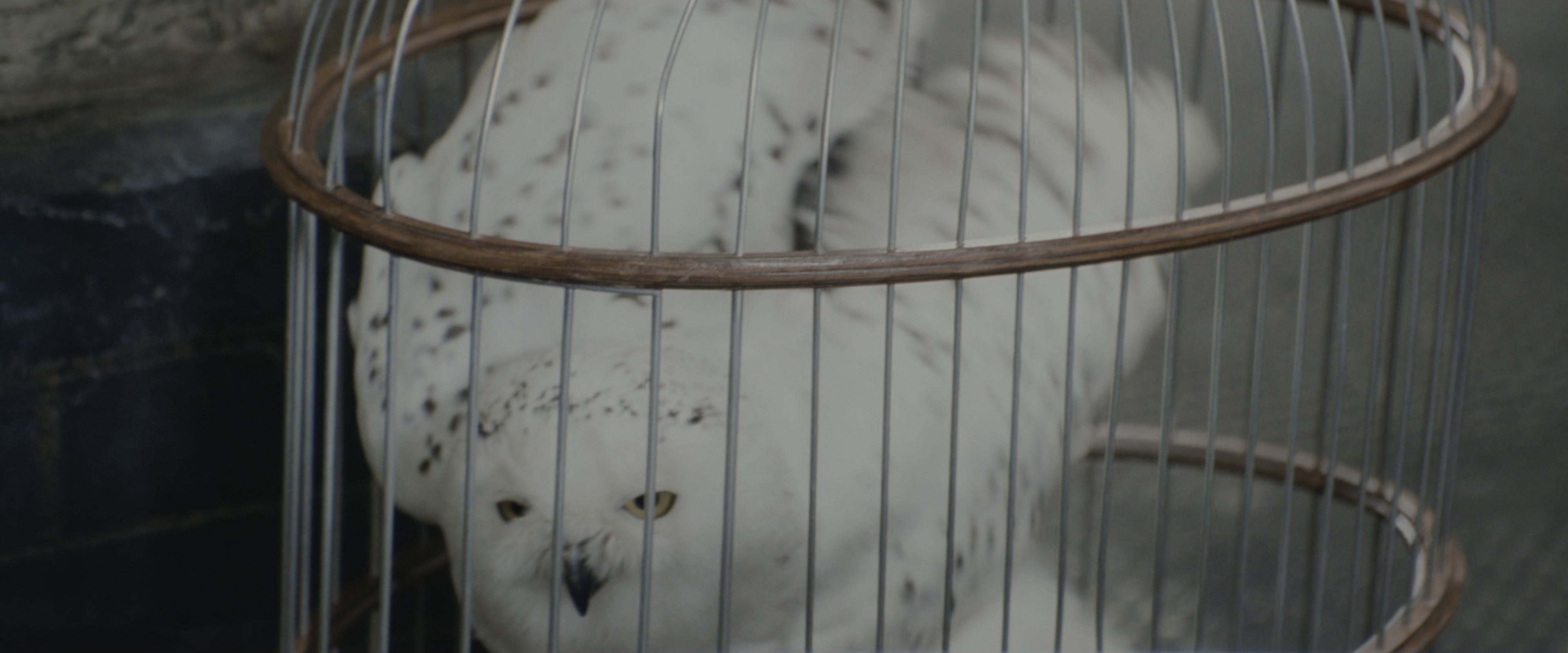 Harry Potter and the Chamber of Secrets (2002), wide, 2.40:1 — film still