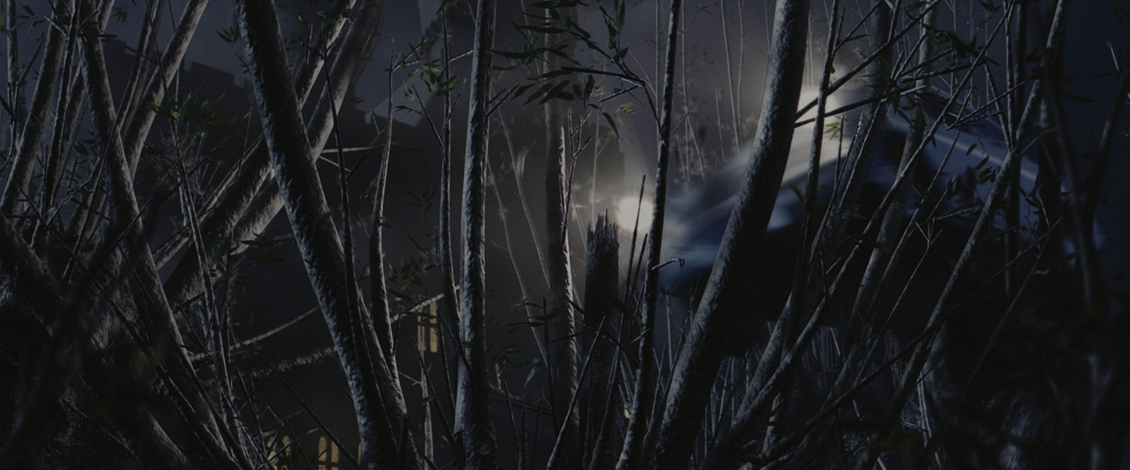 Harry Potter and the Chamber of Secrets (2002), wide, 2.40:1 — film still