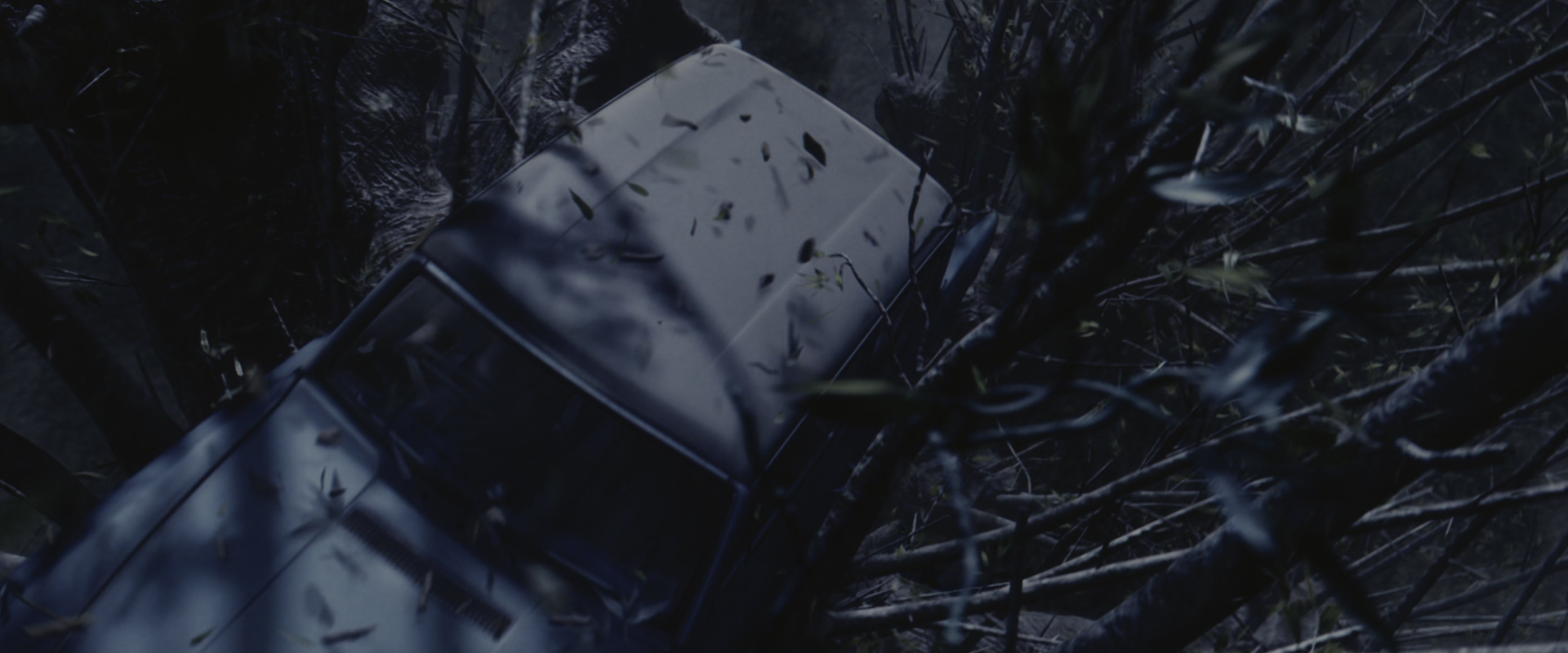Harry Potter and the Chamber of Secrets (2002), wide, 2.40:1 — film still