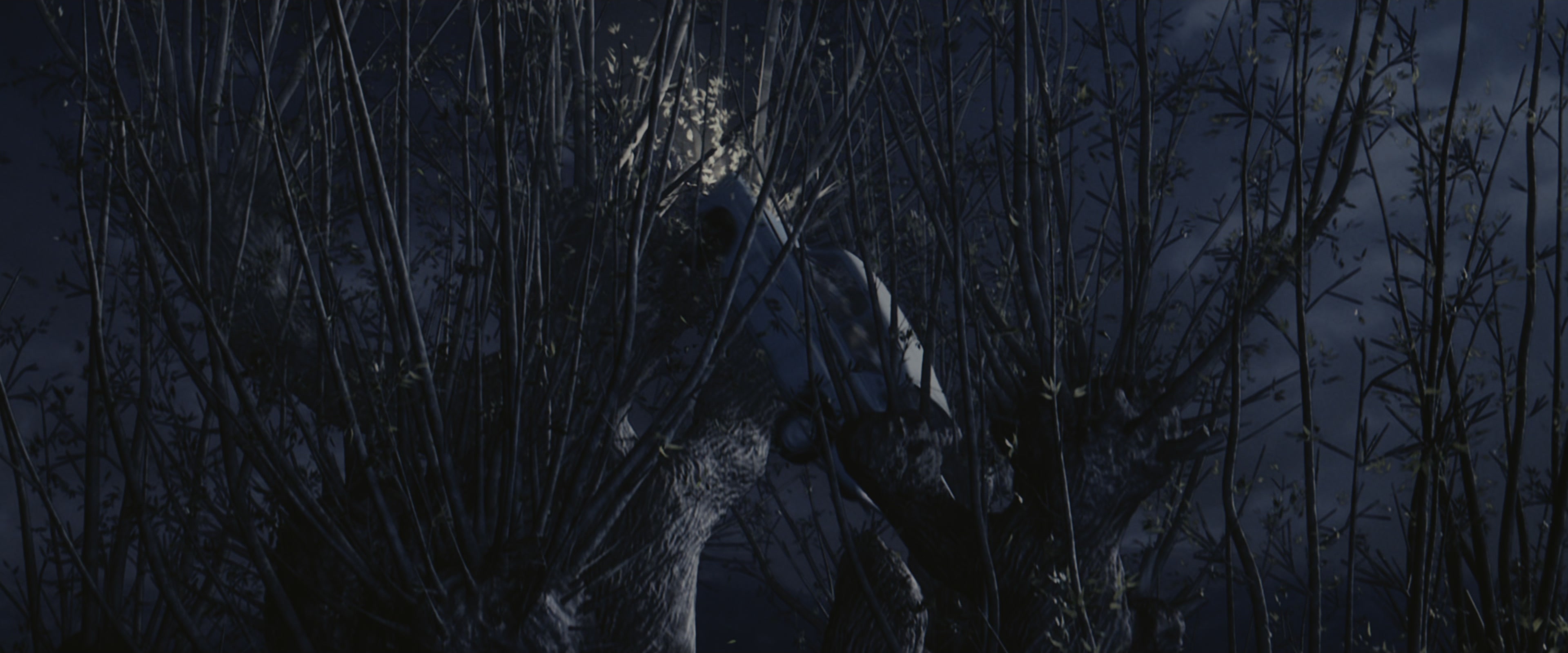 Harry Potter and the Chamber of Secrets (2002), wide, 2.40:1 — film still