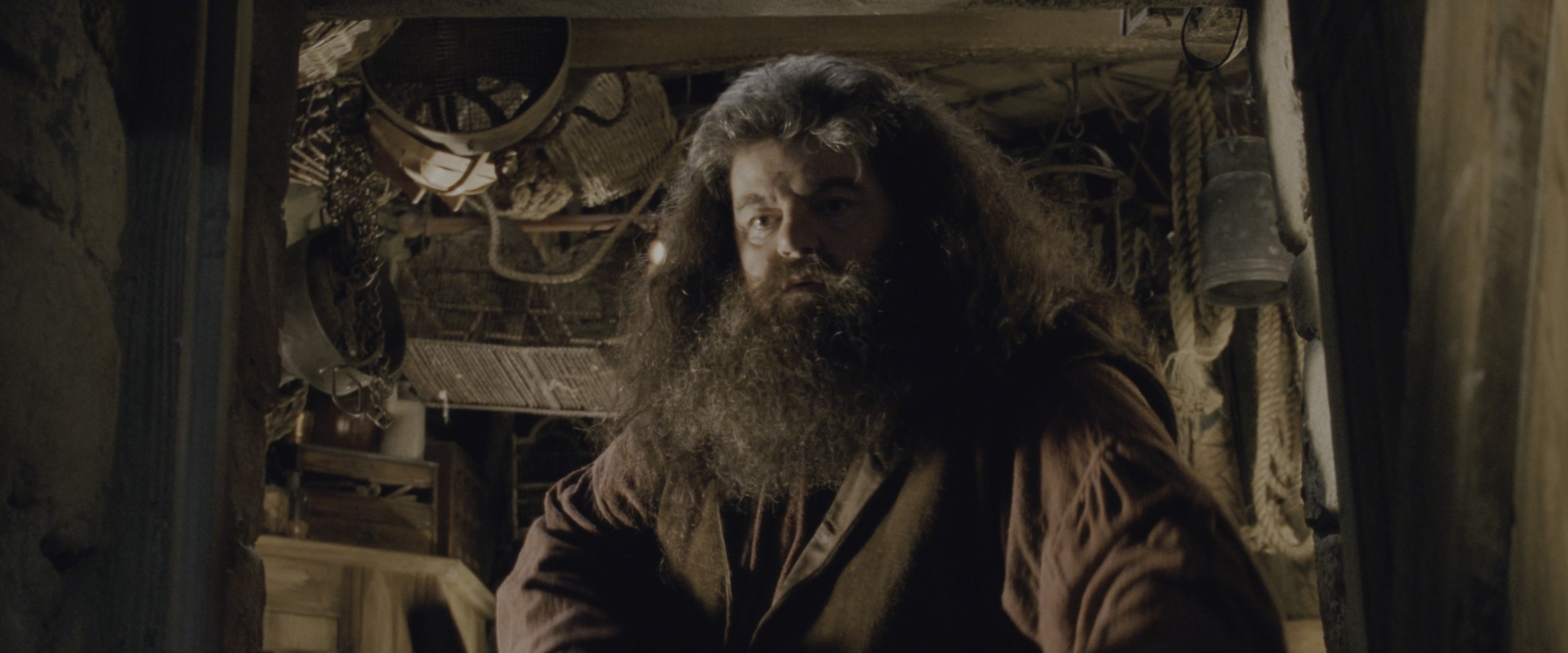 Harry Potter and the Chamber of Secrets (2002), wide, 2.40:1 — film still