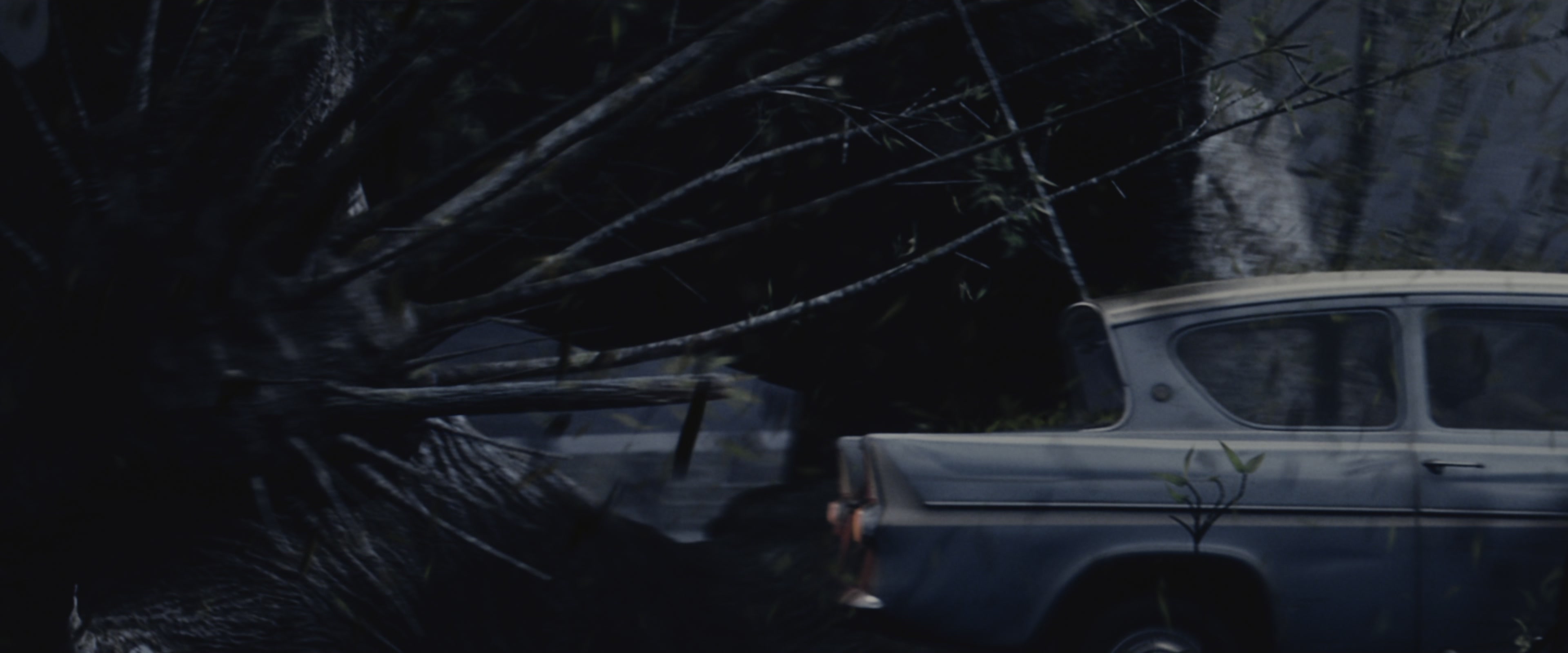 Harry Potter and the Chamber of Secrets (2002), wide, 2.40:1 — film still