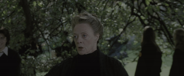Harry Potter and the Goblet of Fire — film still