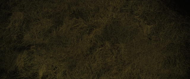 seria-204996.jpg