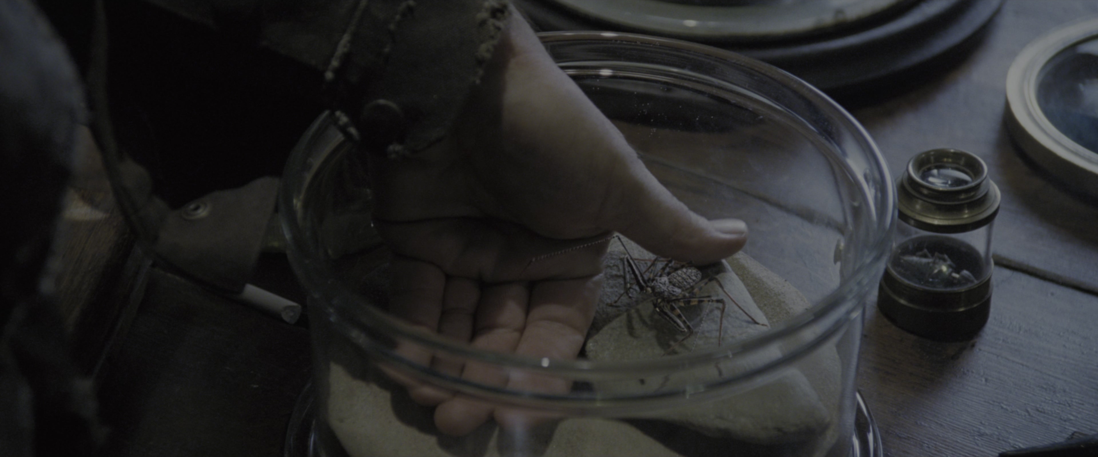 Harry Potter and the Goblet of Fire (2005), wide, 2.40:1 — film still