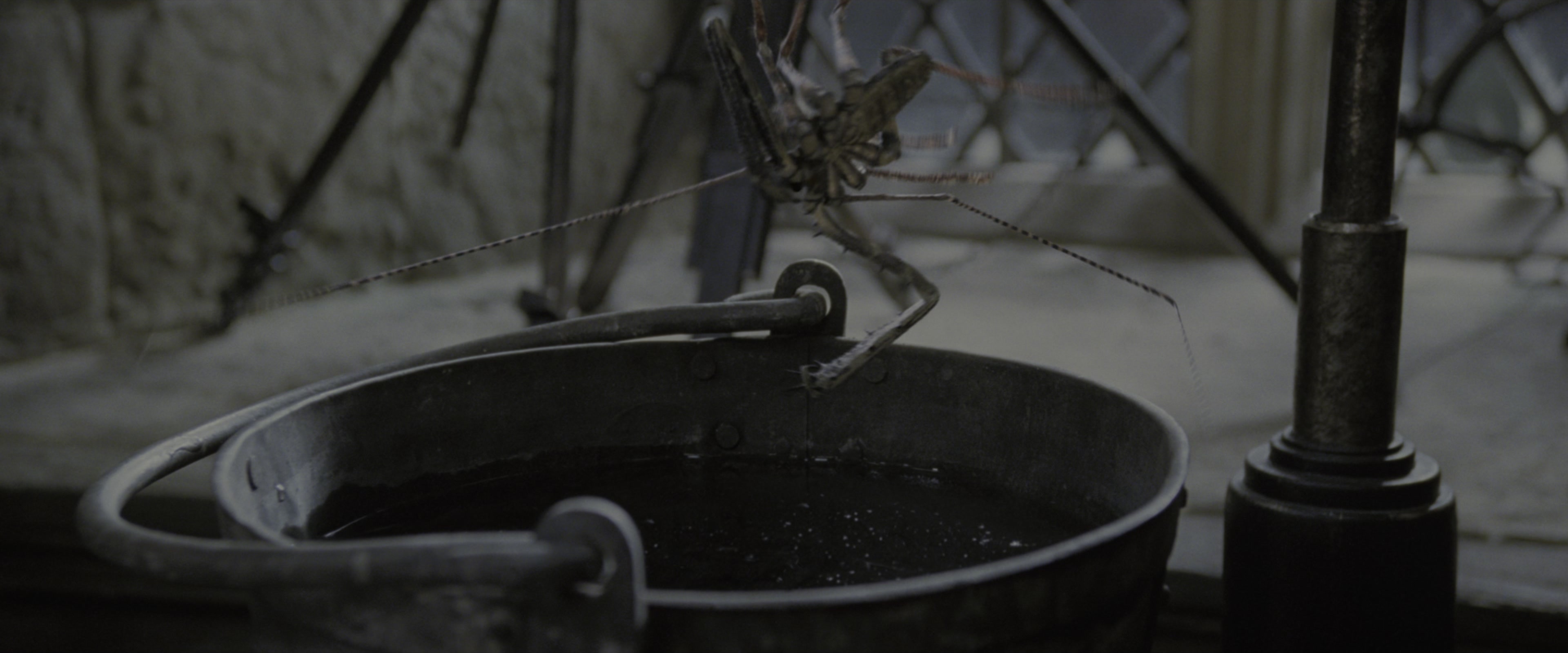 Harry Potter and the Goblet of Fire (2005), wide, 2.40:1 — film still