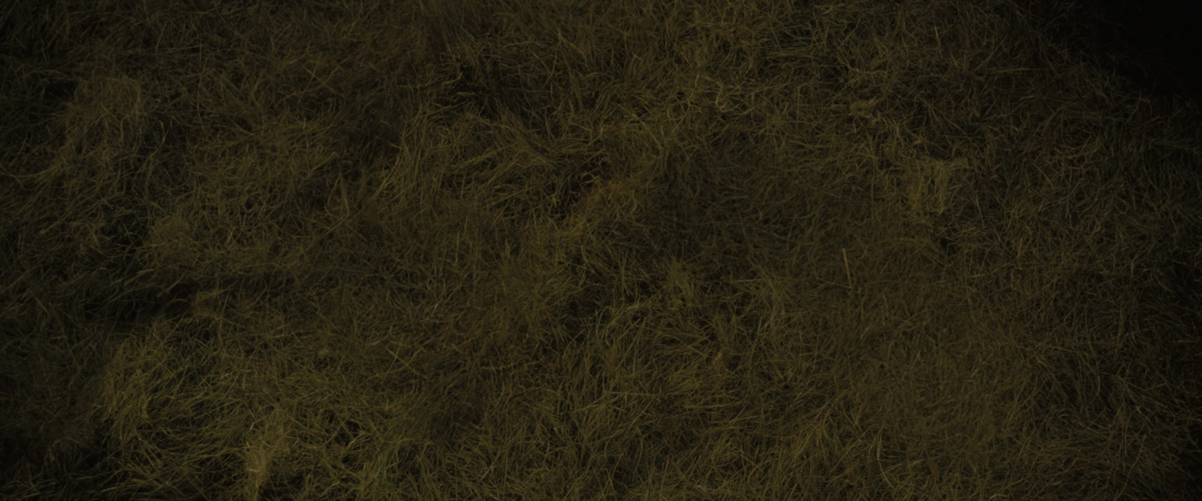 Harry Potter and the Goblet of Fire (2005), wide, 2.40:1 — film still