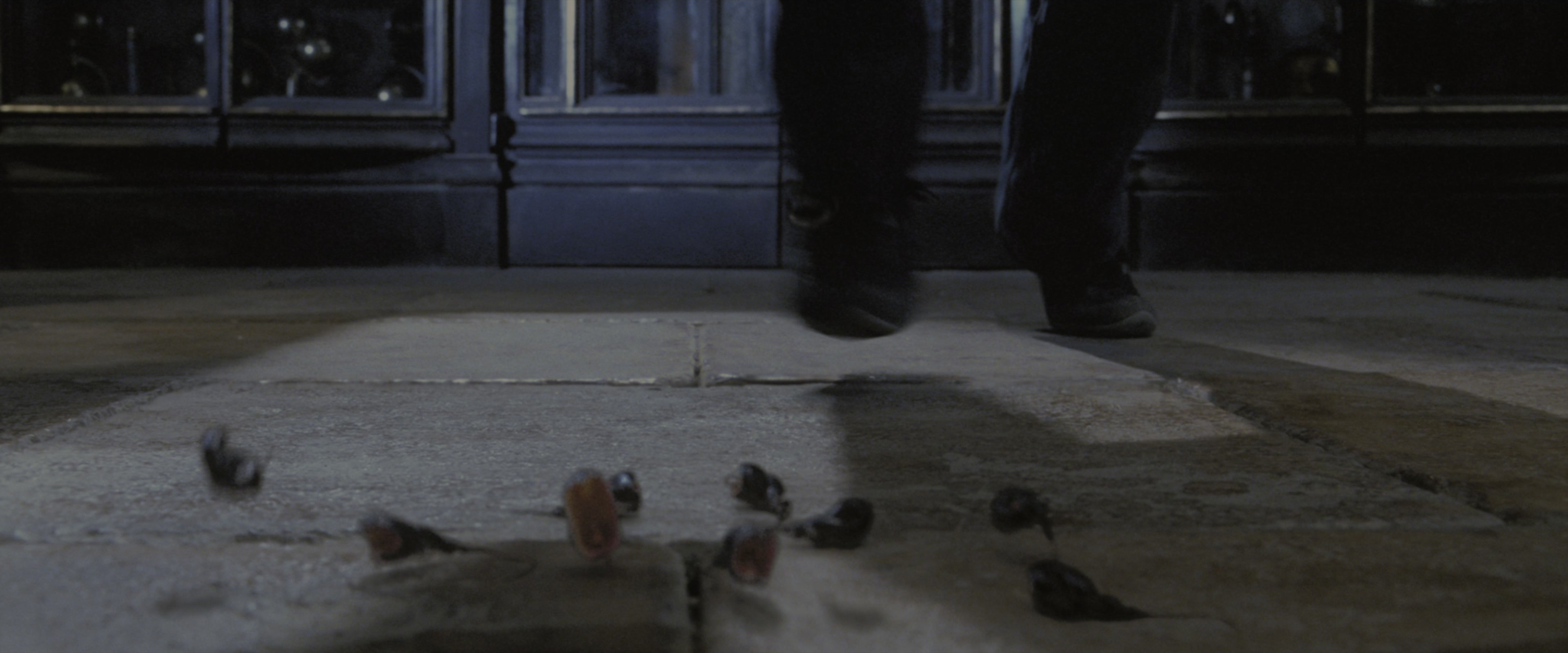 Harry Potter and the Goblet of Fire (2005), wide, 2.40:1 — film still