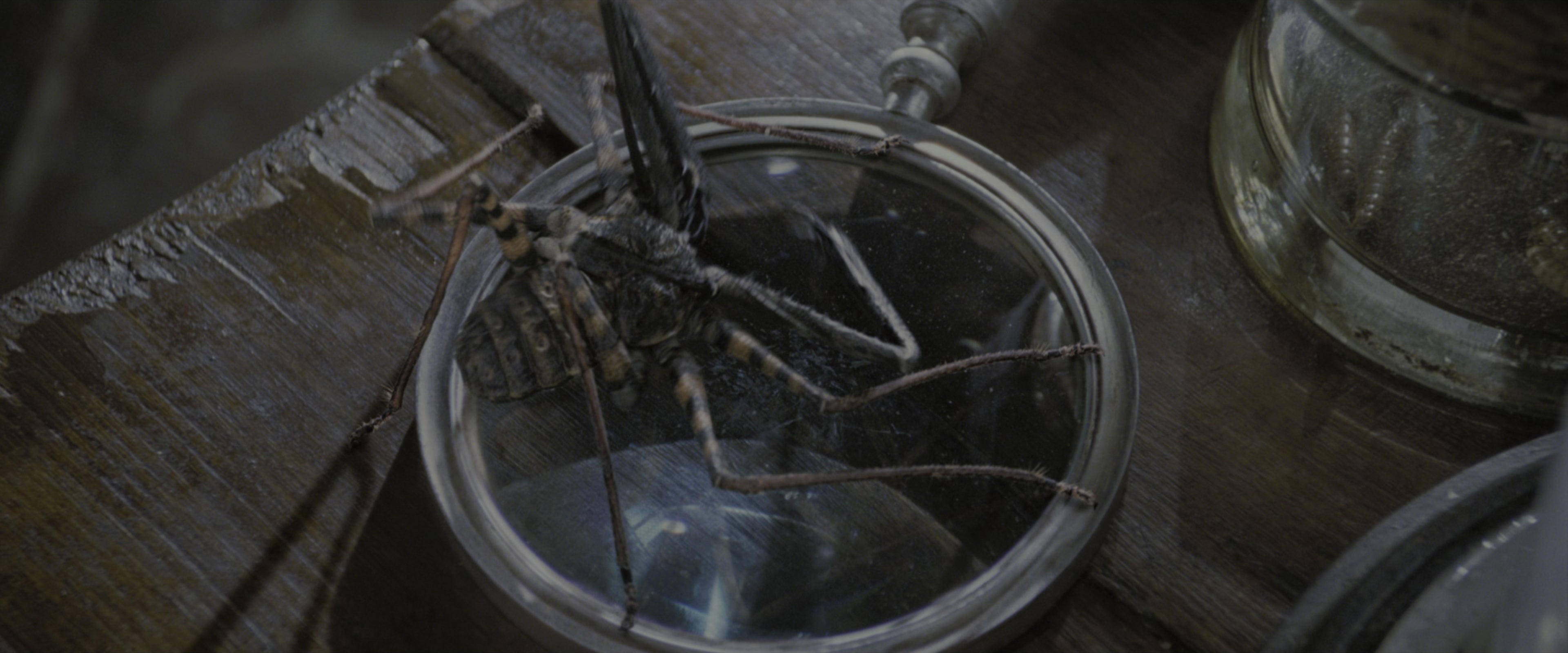 Harry Potter and the Goblet of Fire (2005), wide, 2.40:1 — film still