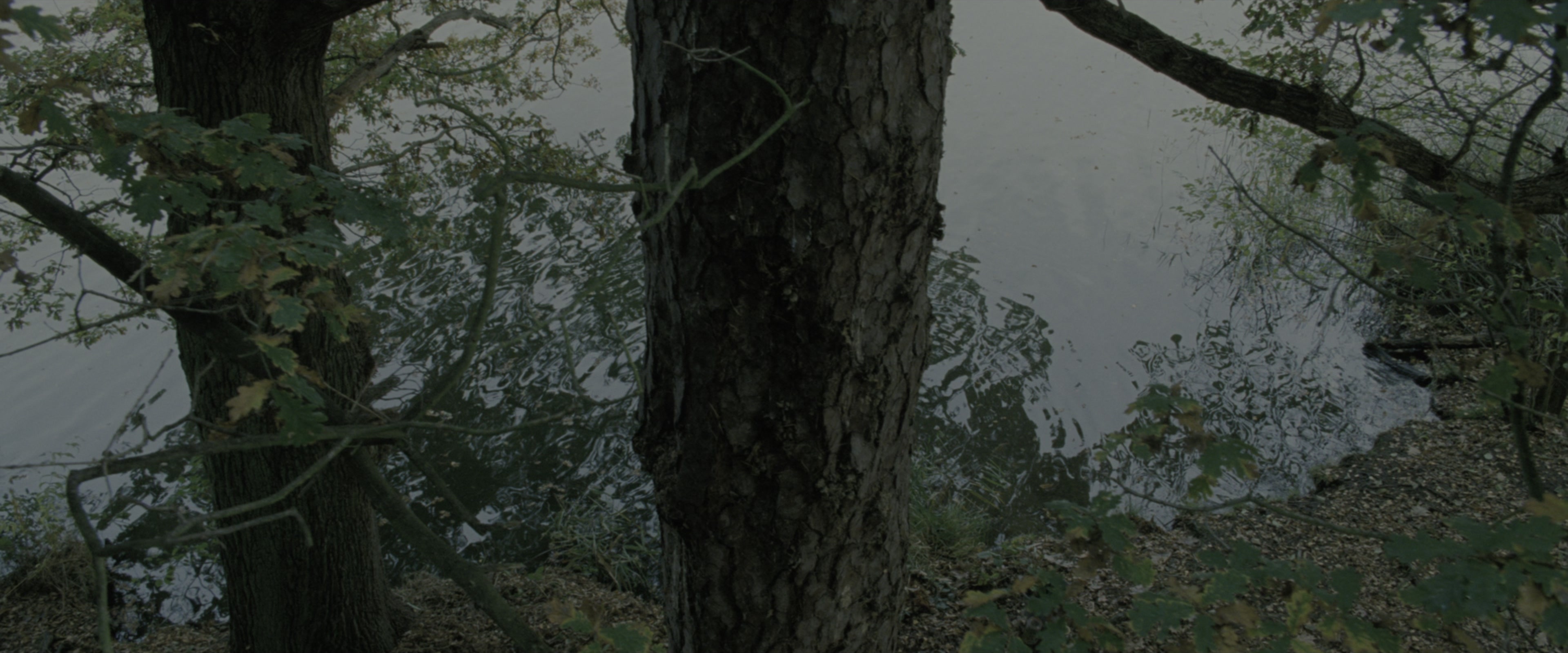 Harry Potter and the Goblet of Fire (2005), wide, 2.40:1 — film still