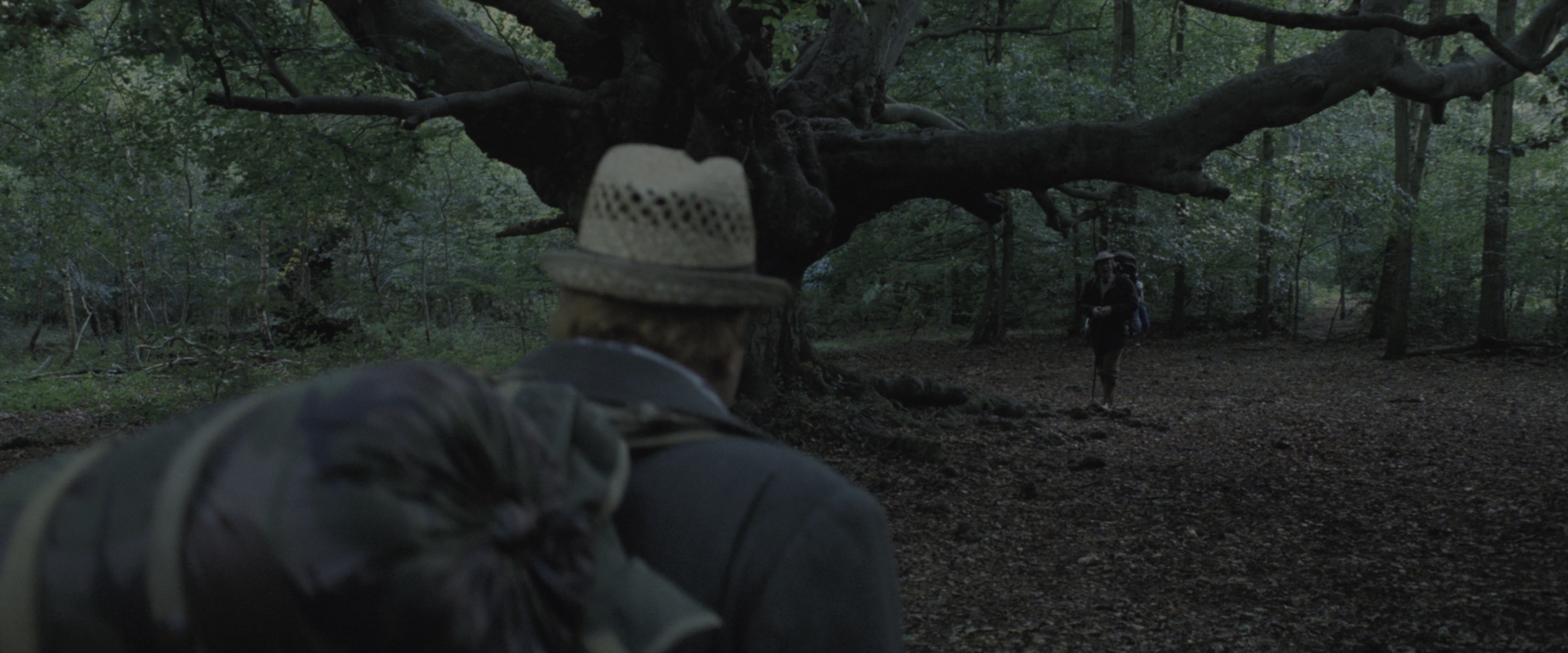 Harry Potter and the Goblet of Fire (2005), wide, 2.40:1 — film still