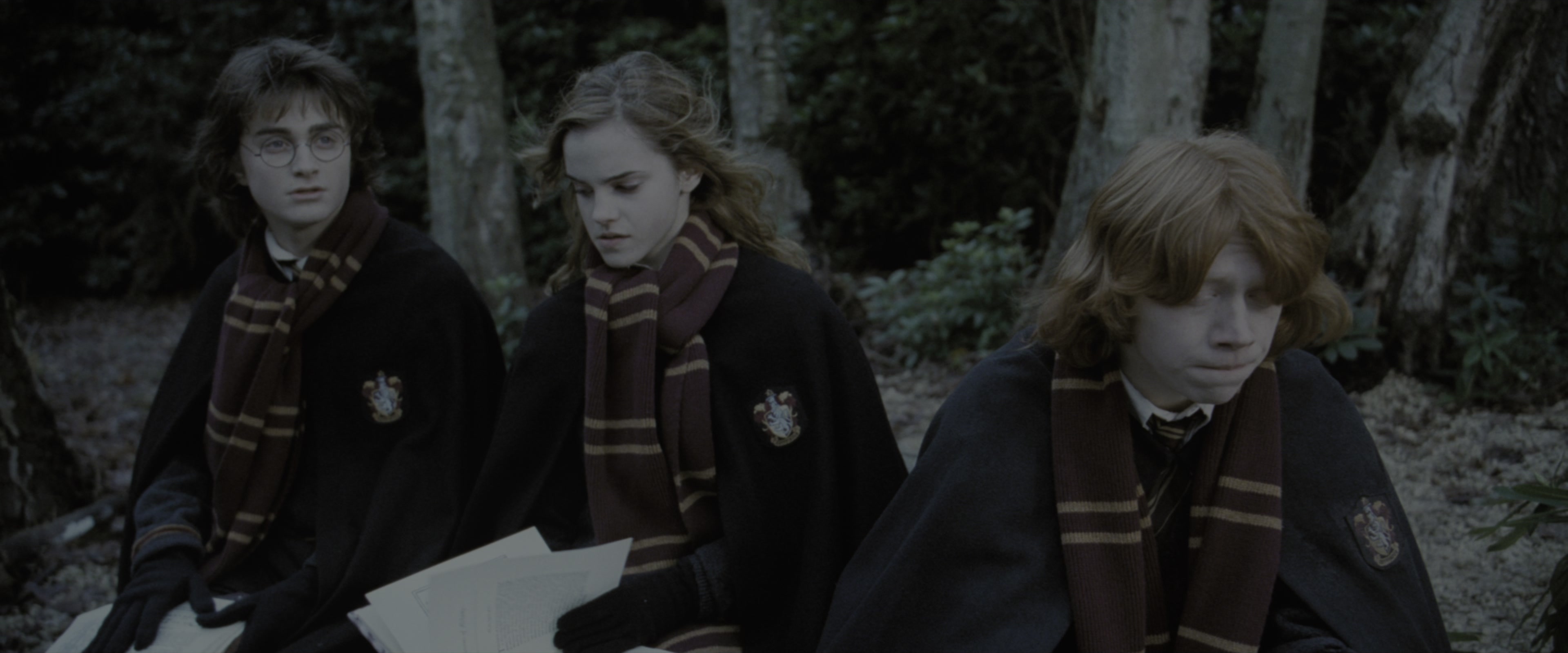Harry Potter and the Goblet of Fire (2005), wide, 2.40:1 — film still