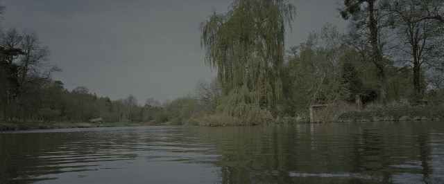 Wide shot frame from Harry Potter and the Deathly Hallows - Part 2 — water, willow