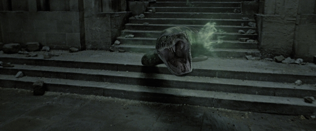 Wide shot frame from Harry Potter and the Deathly Hallows - Part 2 — animal, bird, window