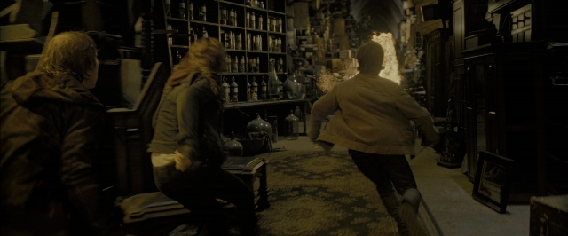 Wide shot frame from Harry Potter and the Deathly Hallows - Part 2 — book, standing, walking
