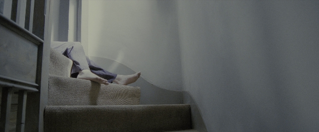 seria-282574.jpg