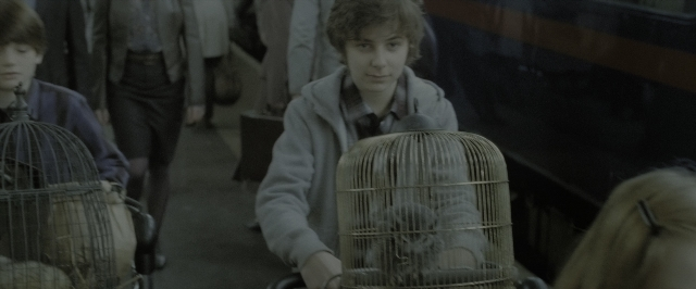 Wide shot frame from Harry Potter and the Deathly Hallows - Part 2 — standing, walking, face