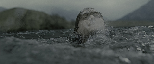 Wide shot frame from Harry Potter and the Deathly Hallows - Part 2 — water, marine mammal