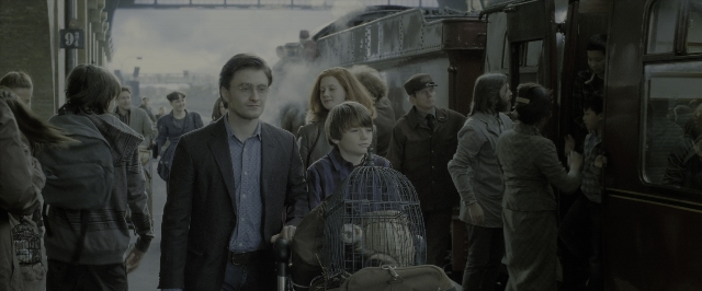 Wide shot frame from Harry Potter and the Deathly Hallows - Part 2 — standing, dog, suit