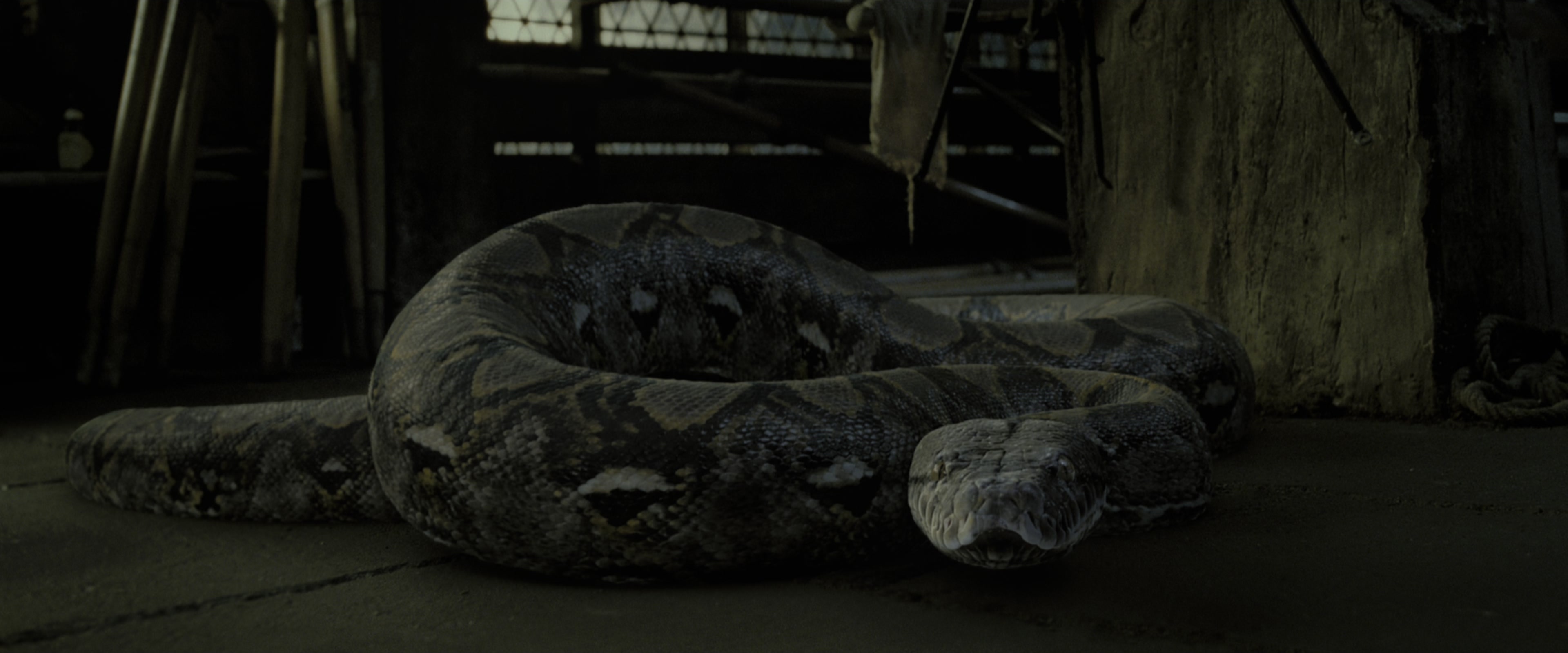 Harry Potter and the Deathly Hallows - Part 2 (2011), wide, 2.40:1 — film still