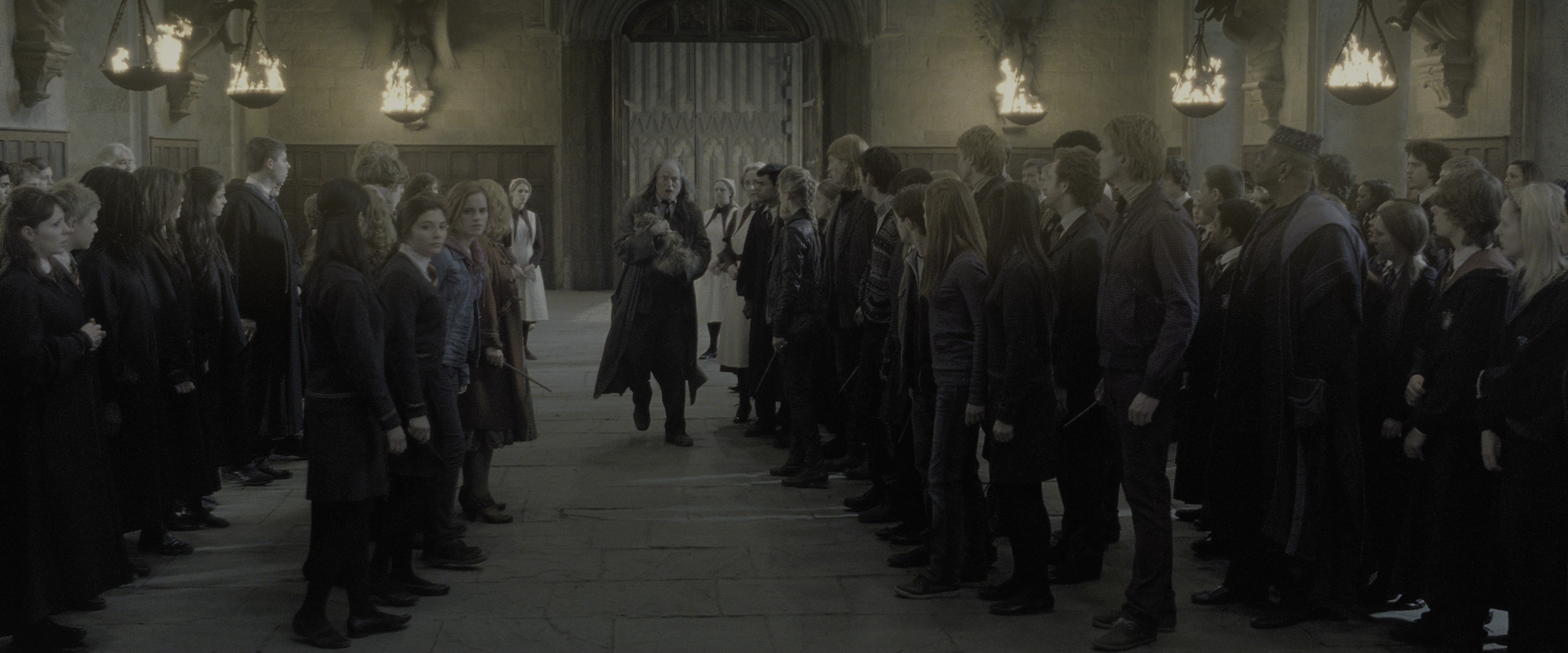 Harry Potter and the Deathly Hallows - Part 2 (2011), wide, 2.40:1 — film still