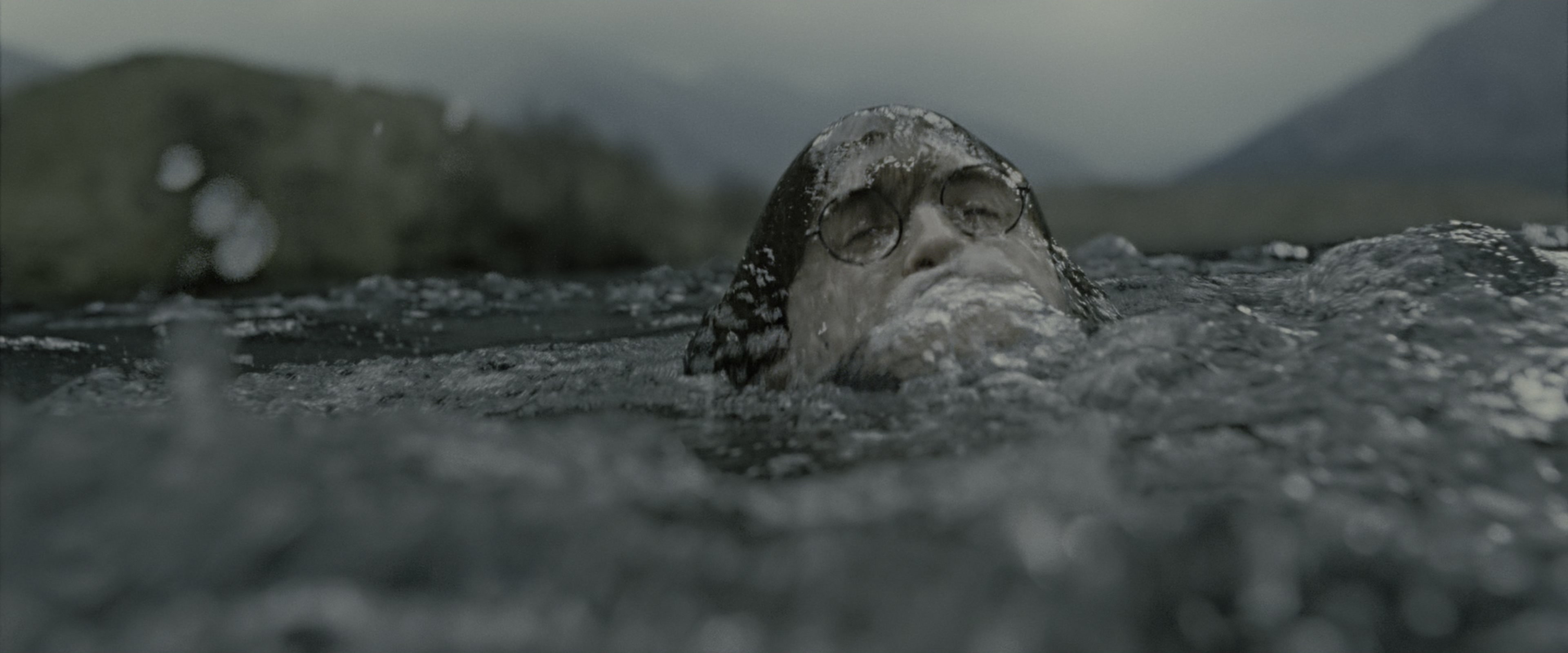 Harry Potter and the Deathly Hallows - Part 2 (2011), wide, 2.40:1 — film still