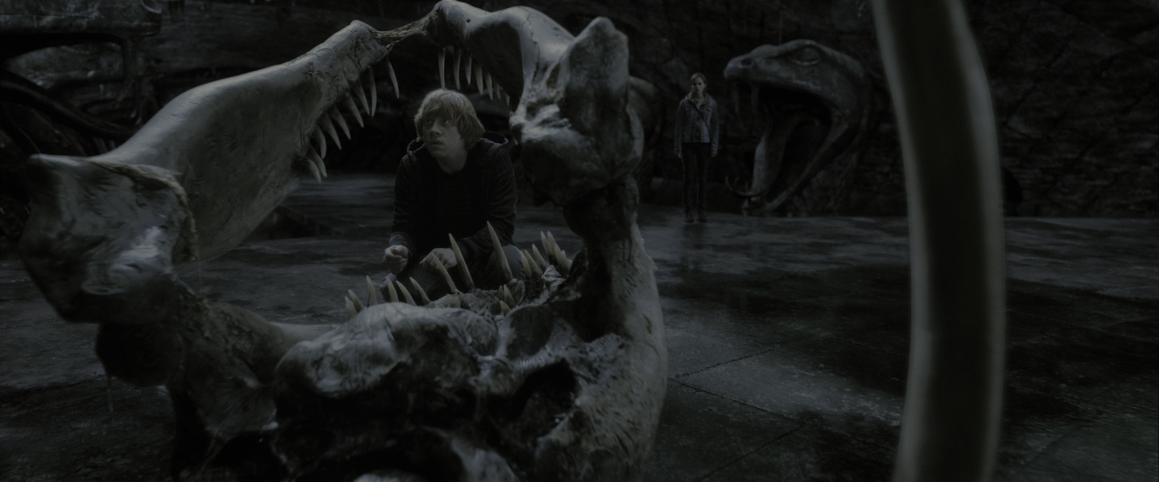 Harry Potter and the Deathly Hallows - Part 2 (2011), wide, 2.40:1 — film still