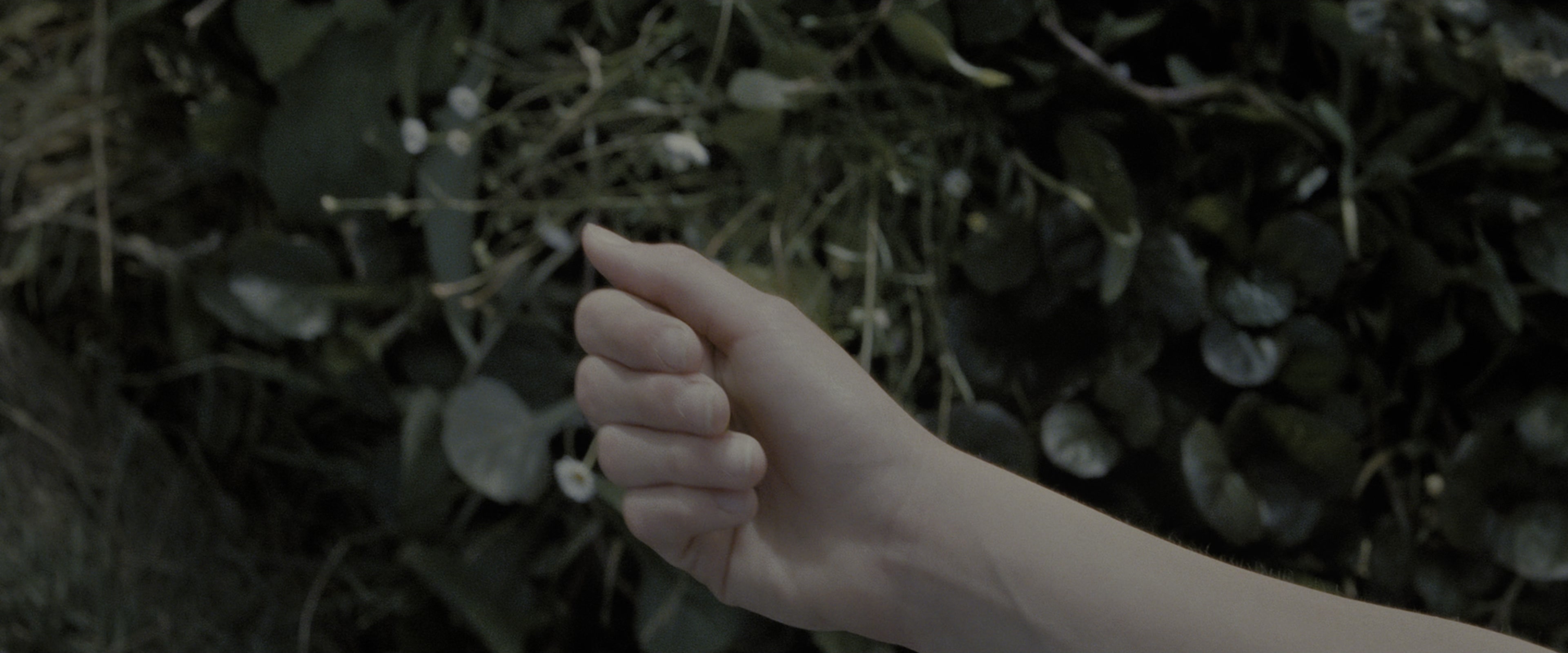 Harry Potter and the Deathly Hallows - Part 2 (2011), wide, 2.40:1 — film still