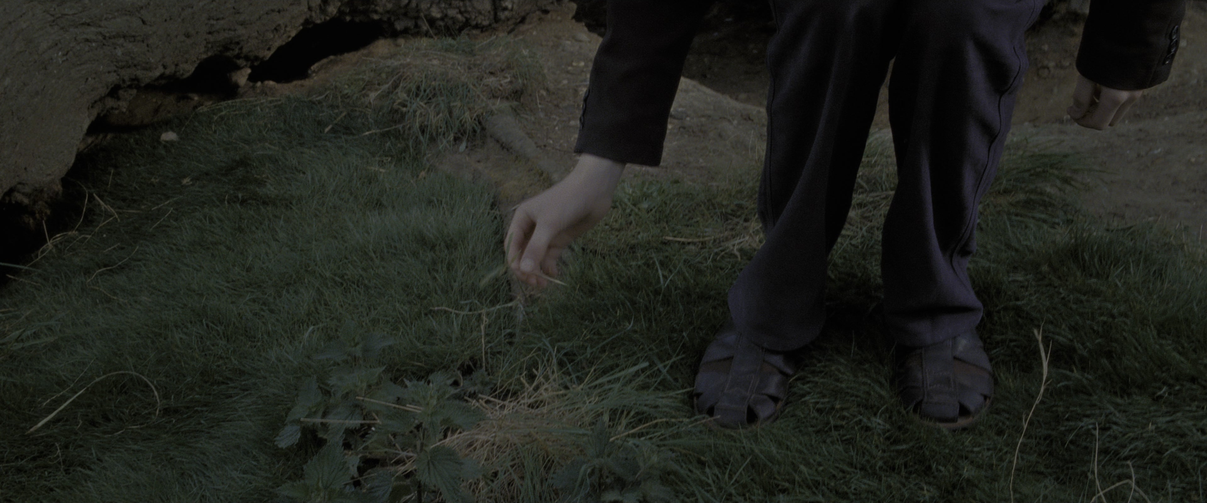 Harry Potter and the Deathly Hallows - Part 2 (2011), wide, 2.40:1 — film still