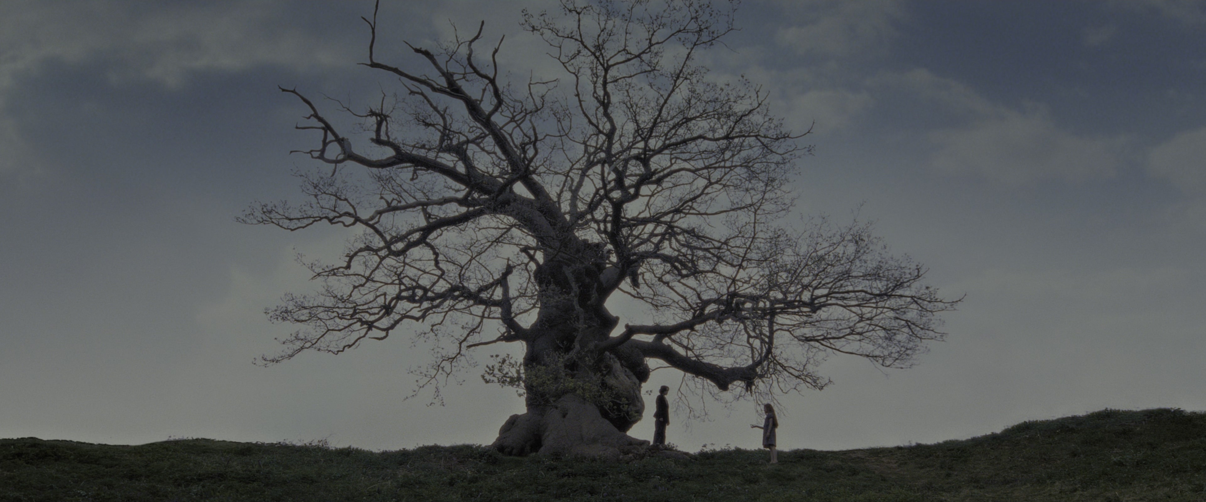 Harry Potter and the Deathly Hallows - Part 2 (2011), wide, 2.40:1 — film still
