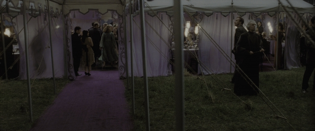 Wide shot frame from Harry Potter and the Deathly Hallows - Part 1 — standing, table, dialogue