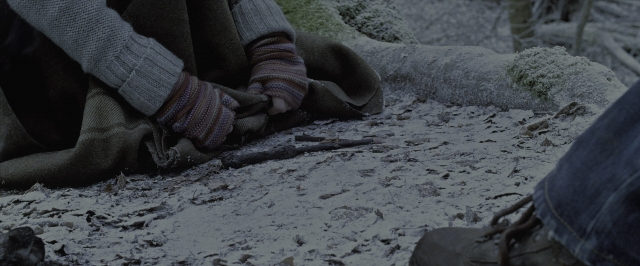 Wide shot frame from Harry Potter and the Deathly Hallows - Part 1 — sitting, sock, person