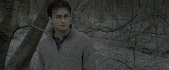 Wide shot frame from Harry Potter and the Deathly Hallows - Part 1 — people, action, standing