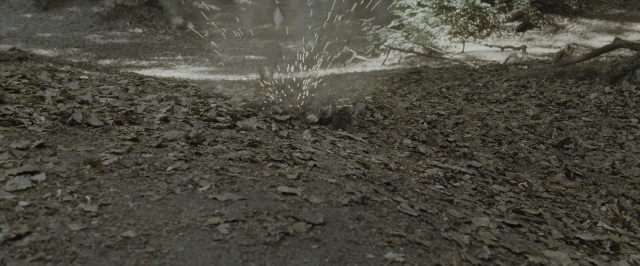 Harry Potter and the Deathly Hallows - Part 1 — film still