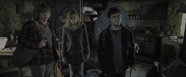 Wide shot frame from Harry Potter and the Deathly Hallows - Part 1 — standing, room, kitchen