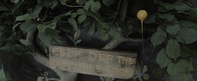 Wide shot frame from Harry Potter and the Deathly Hallows - Part 1 — grapefruit