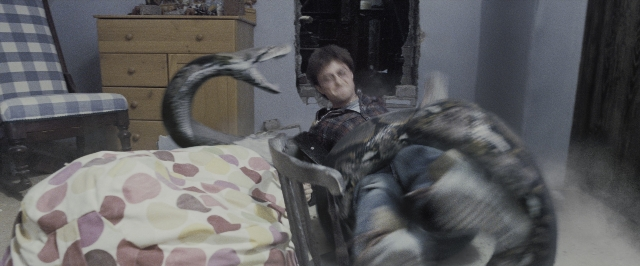 Wide shot frame from Harry Potter and the Deathly Hallows - Part 1 — sitting, room, animal