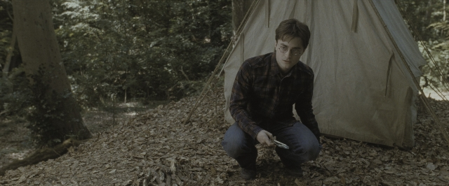 Wide shot frame from Harry Potter and the Deathly Hallows - Part 1 — tent, shirt, hair
