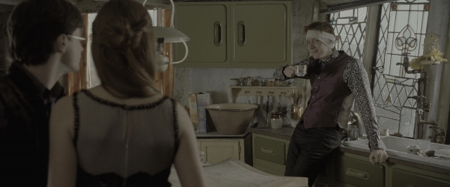 Wide shot frame from Harry Potter and the Deathly Hallows - Part 1 — standing, room, kitchen