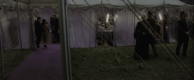 Wide shot frame from Harry Potter and the Deathly Hallows - Part 1 — standing, walking, dialogue