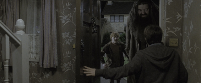 Wide shot frame from Harry Potter and the Deathly Hallows - Part 1 — book, standing, door