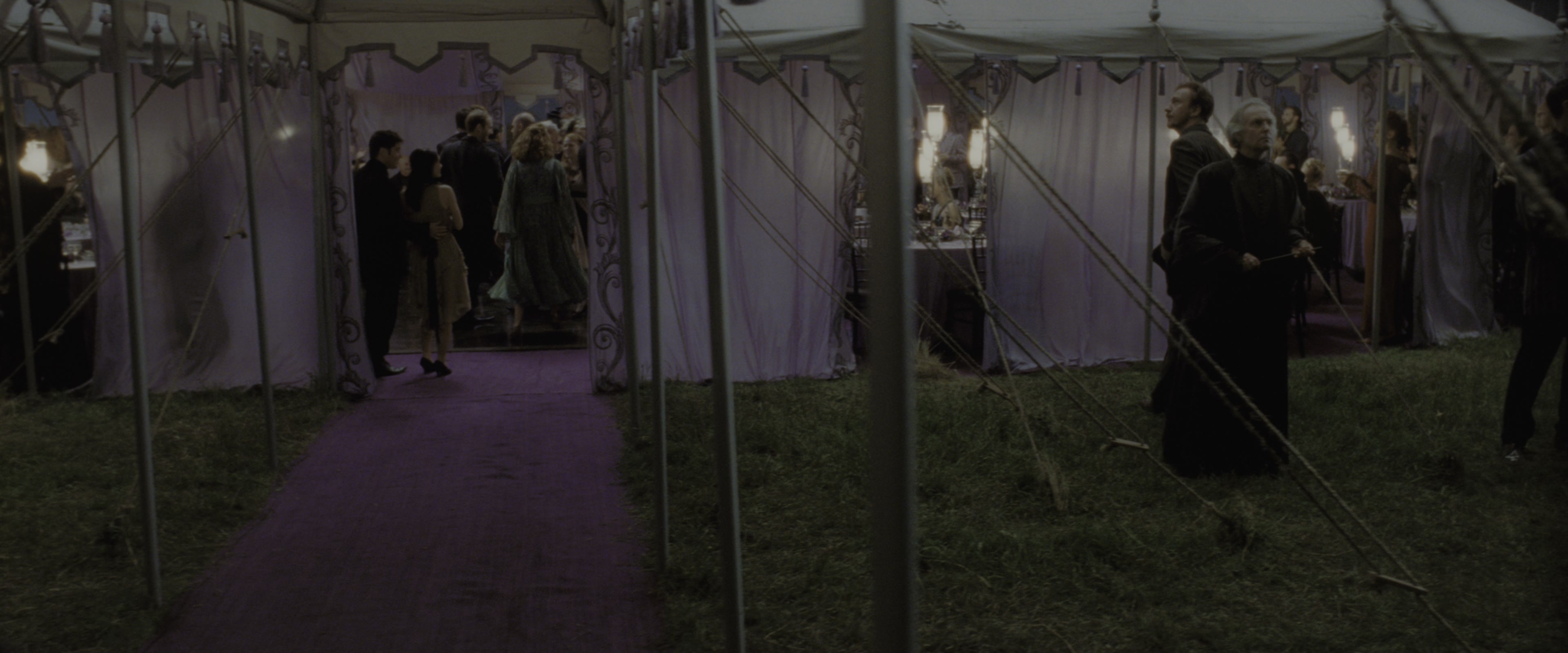 Harry Potter and the Deathly Hallows - Part 1 (2010), wide, 2.40:1 — film still