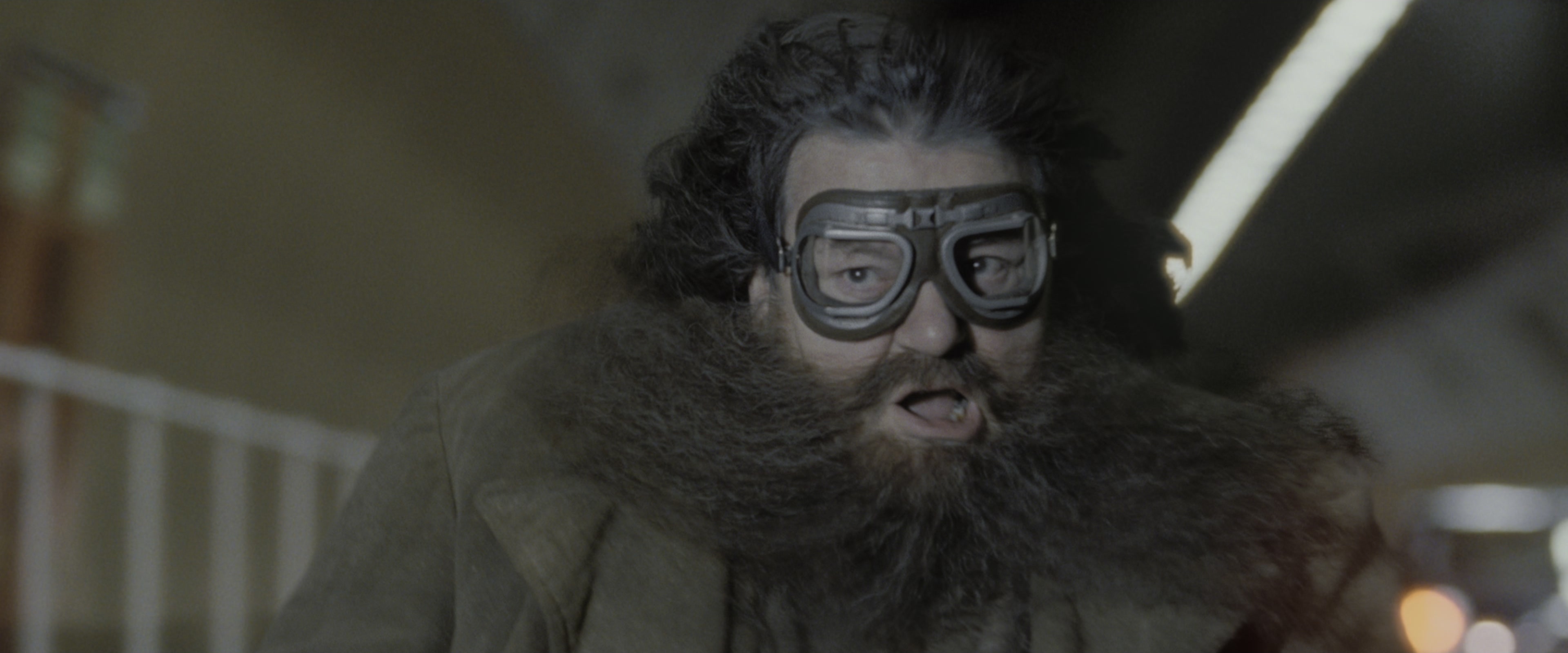 Harry Potter and the Deathly Hallows - Part 1 (2010), wide, 2.40:1 — film still