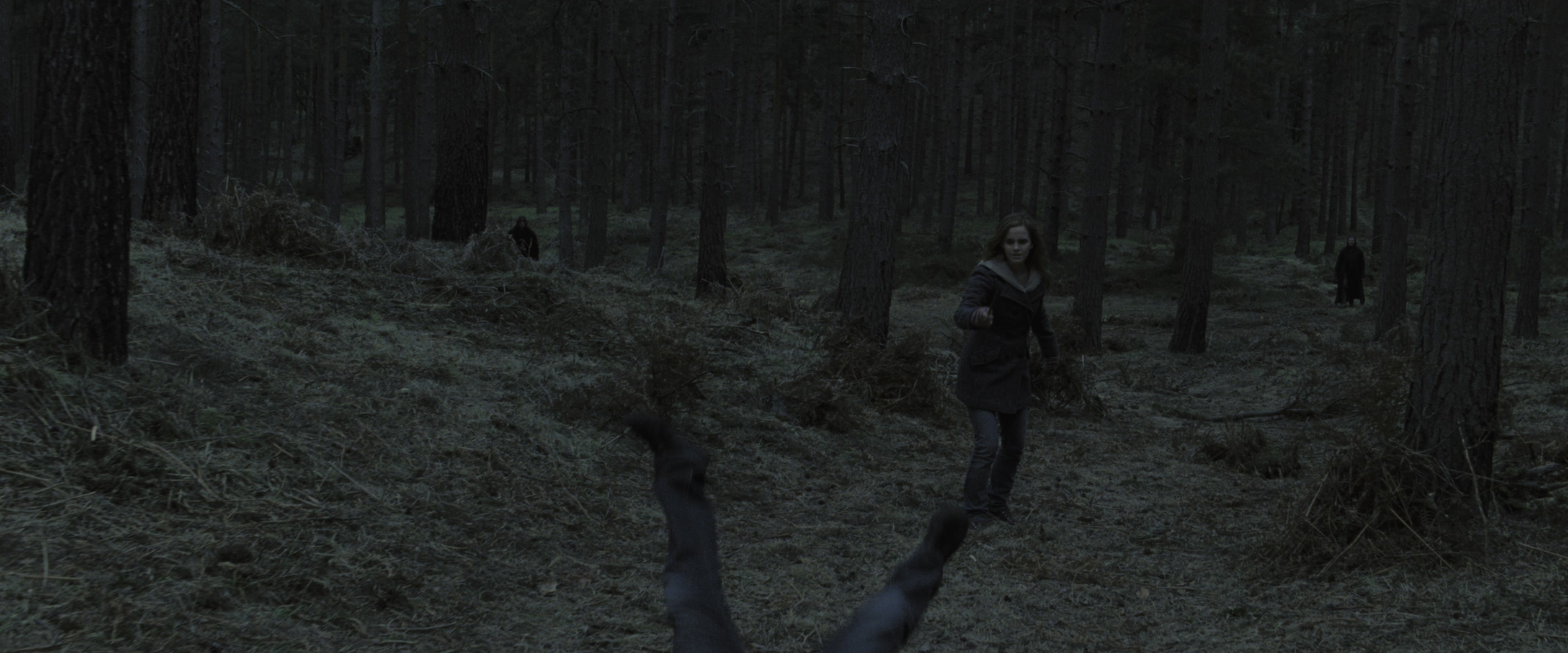 Harry Potter and the Deathly Hallows - Part 1 (2010), wide, 2.40:1 — film still