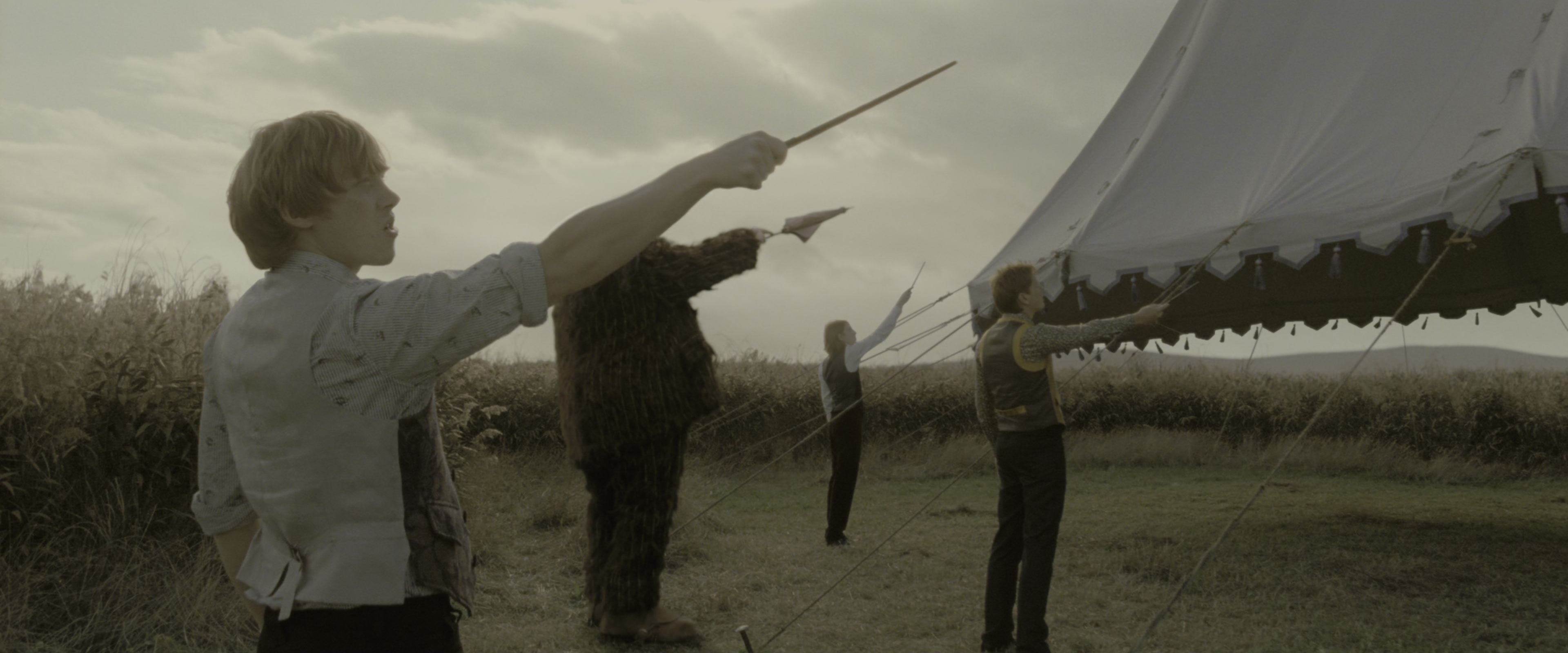 Harry Potter and the Deathly Hallows - Part 1 (2010), wide, 2.40:1 — film still