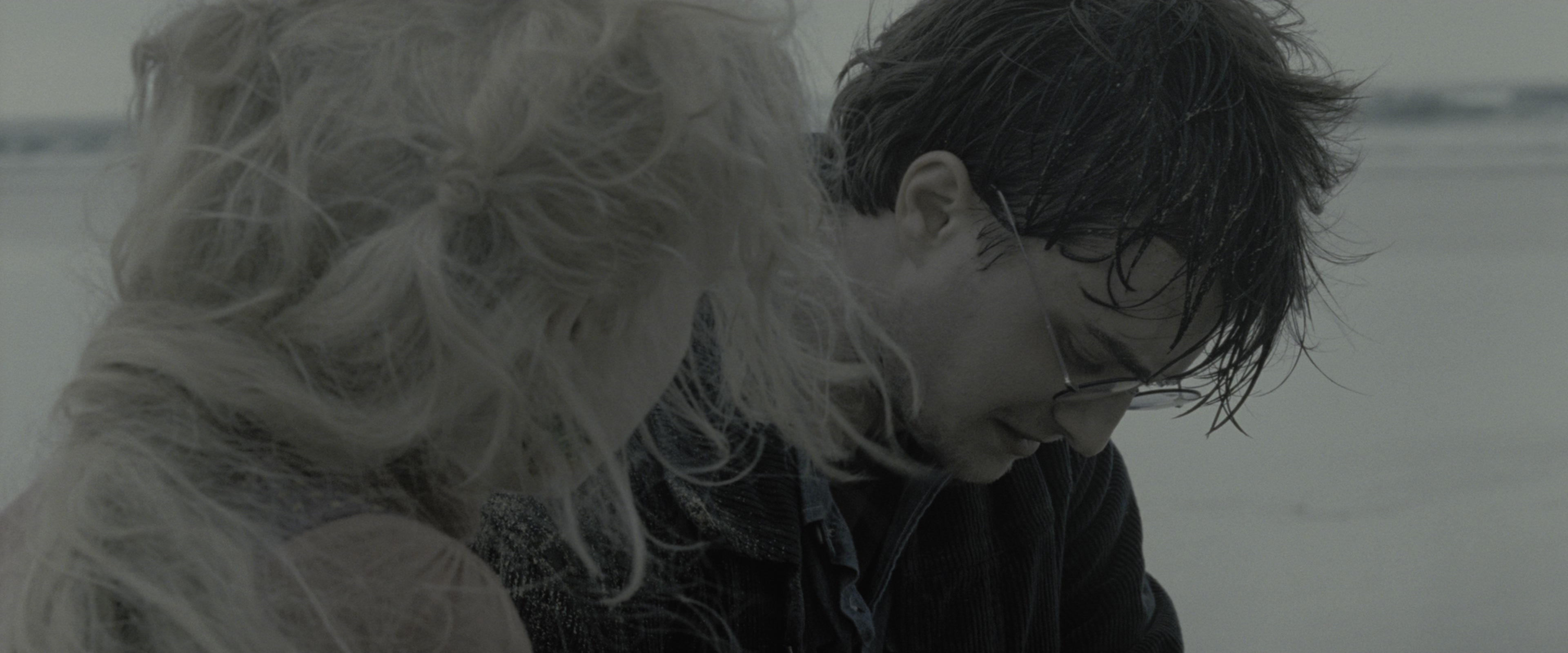 Harry Potter and the Deathly Hallows - Part 1 (2010), wide, 2.40:1 — film still