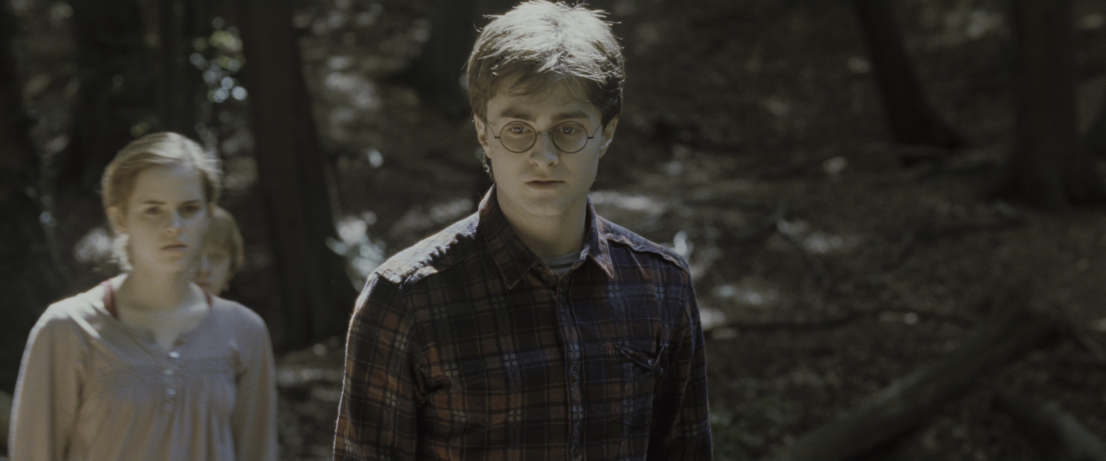 Harry Potter and the Deathly Hallows - Part 1 (2010), medium, 2.40:1 — film still