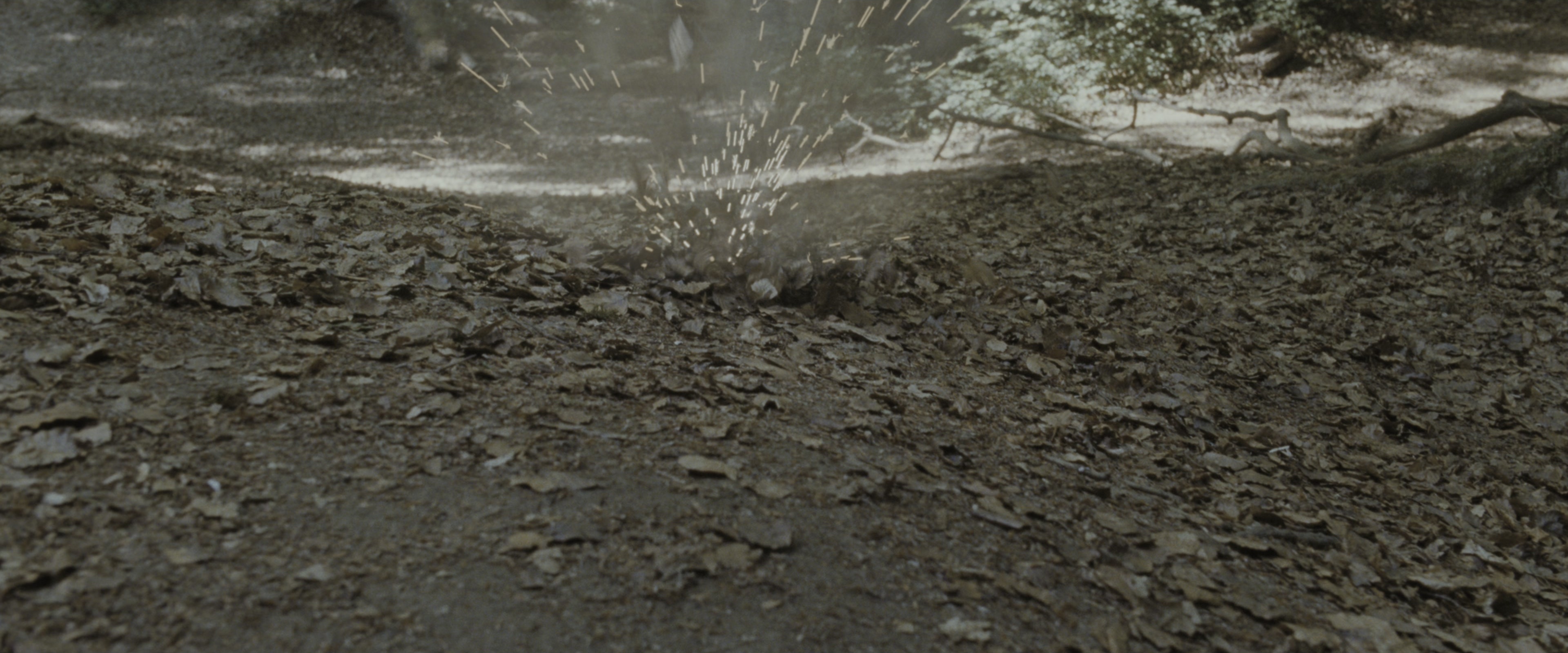 Harry Potter and the Deathly Hallows - Part 1 (2010), wide, 2.40:1 — film still